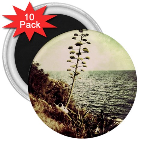 Sète 3  Button Magnet (10 pack) from ArtsNow.com Front