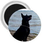 Black German Shepherd 3  Button Magnet