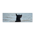 Black German Shepherd Bumper Sticker