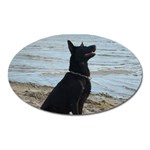 Black German Shepherd Magnet (Oval)