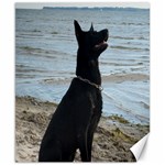 Black German Shepherd Canvas 8  x 10  (Unframed)