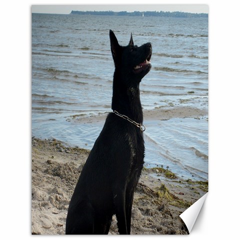 Black German Shepherd Canvas 12  x 16  (Unframed) from ArtsNow.com 11.86 x15.41  Canvas - 1