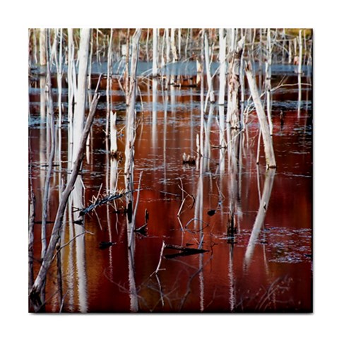 Automn Swamp Ceramic Tile from ArtsNow.com Front