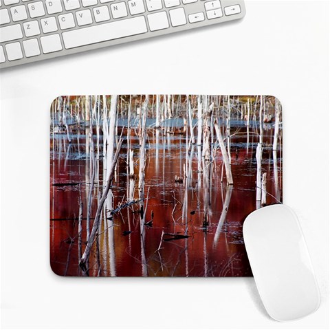 Automn Swamp Small Mouse Pad (Rectangle) from ArtsNow.com Front