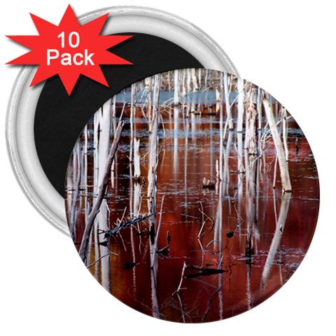 Automn Swamp 3  Button Magnet (10 pack) from ArtsNow.com Front