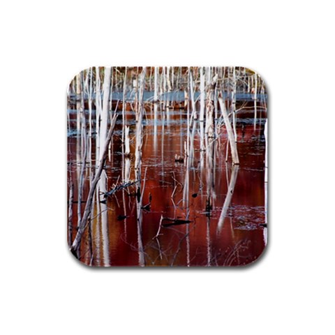 Automn Swamp Drink Coasters 4 Pack (Square) from ArtsNow.com Front