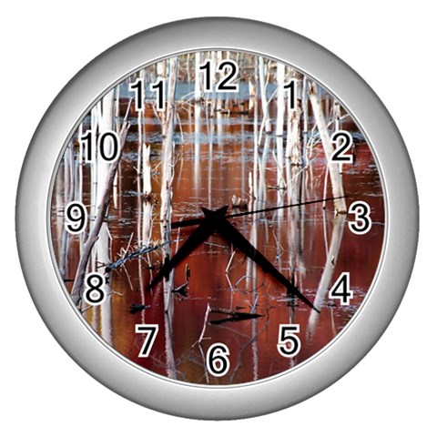 Automn Swamp Wall Clock (Silver) from ArtsNow.com Front