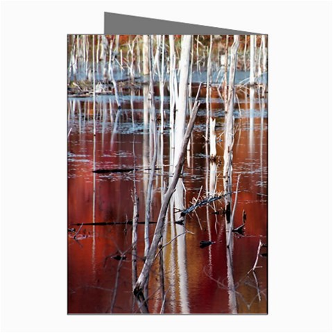 Automn Swamp Greeting Card (8 Pack) from ArtsNow.com Right