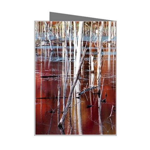 Automn Swamp Mini Greeting Card from ArtsNow.com Right