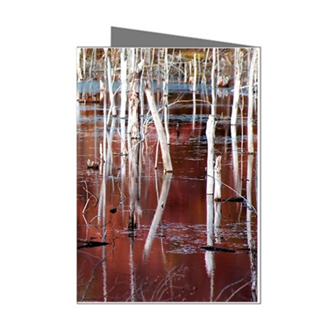 Automn Swamp Mini Greeting Card (8 Pack) from ArtsNow.com Left