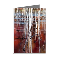 Automn Swamp Mini Greeting Card (8 Pack) from ArtsNow.com Right