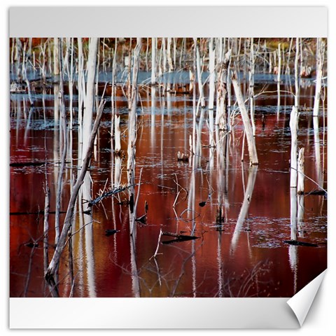 Automn Swamp Canvas 20  x 20  (Unframed) from ArtsNow.com 19 x19.27  Canvas - 1