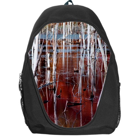 Automn Swamp Backpack Bag from ArtsNow.com Front