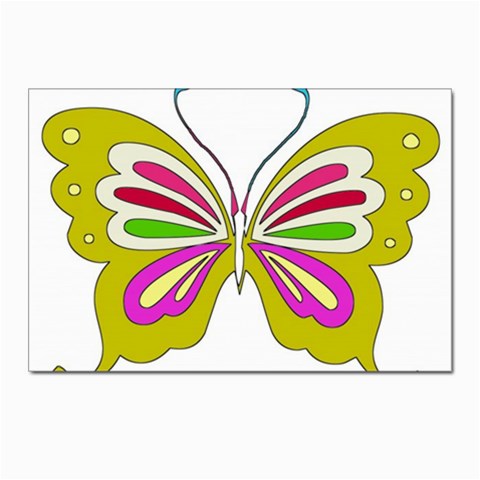 Color Butterfly  Postcard 4 x 6  (10 Pack) from ArtsNow.com Front