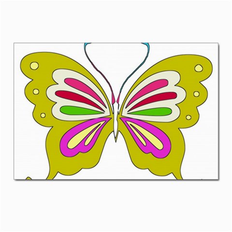 Color Butterfly  Postcards 5  x 7  (10 Pack) from ArtsNow.com Front