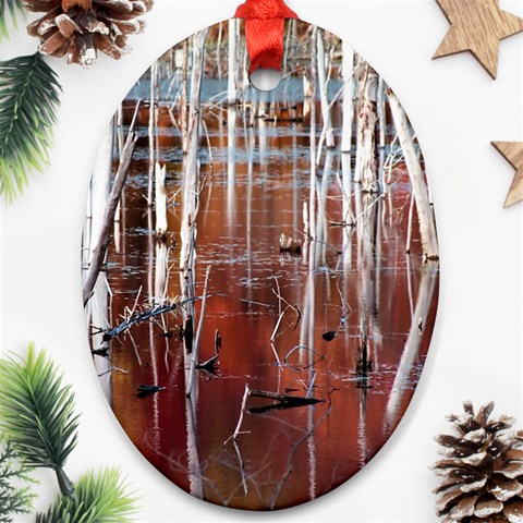 Swamp2 Filtered Oval Ornament from ArtsNow.com Front