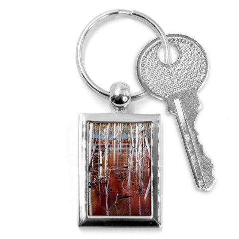 Swamp2 Filtered Key Chain (Rectangle) from ArtsNow.com Front