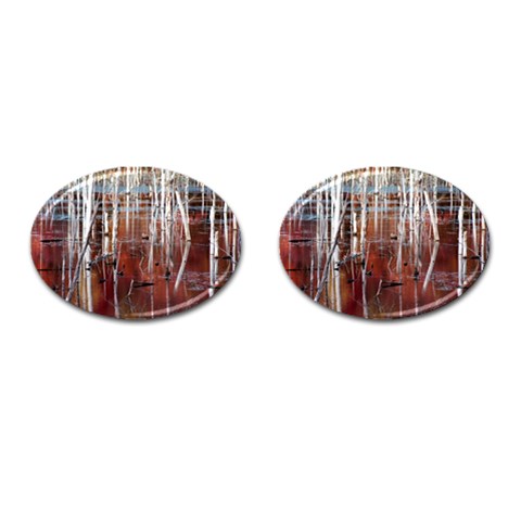 Swamp2 Filtered Cufflinks (Oval) from ArtsNow.com Front(Pair)