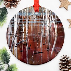 Swamp2 Filtered Round Ornament (Two Sides) from ArtsNow.com Front