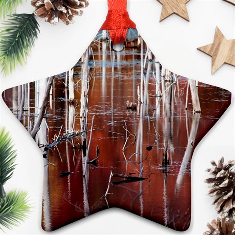 Swamp2 Filtered Star Ornament (Two Sides) from ArtsNow.com Front