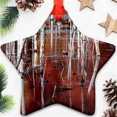 Swamp2 Filtered Star Ornament (Two Sides) from ArtsNow.com Front