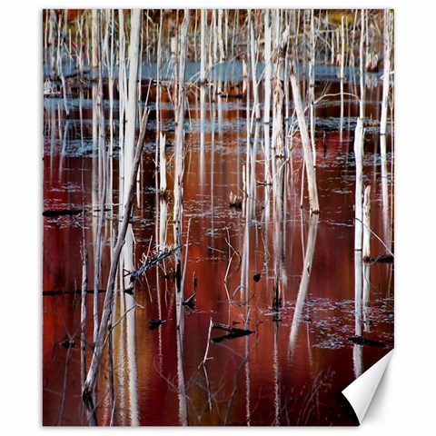 Swamp2 Filtered Canvas 8  x 10  (Unframed) from ArtsNow.com 8.15 x9.66  Canvas - 1