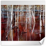 Swamp2 Filtered Canvas 20  x 20  (Unframed)