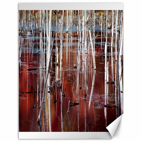 Swamp2 Filtered Canvas 18  x 24  (Unframed) from ArtsNow.com 17.8 x23.08  Canvas - 1