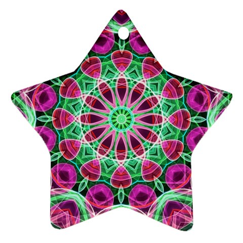 Flower Garden Star Ornament (Two Sides) from ArtsNow.com Back