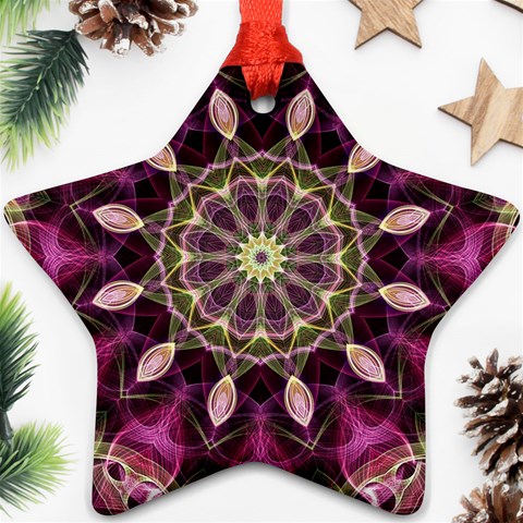 Purple Flower Star Ornament from ArtsNow.com Front