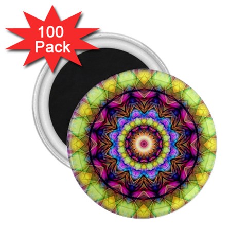 Rainbow Glass 2.25  Button Magnet (100 pack) from ArtsNow.com Front