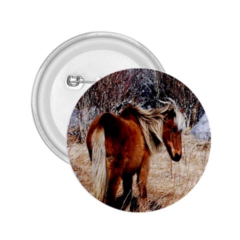 Pretty Pony 2.25  Button from ArtsNow.com Front