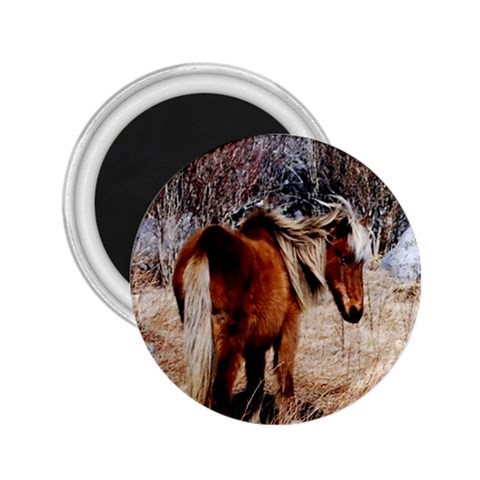 Pretty Pony 2.25  Button Magnet from ArtsNow.com Front