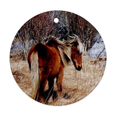 Pretty Pony Round Ornament from ArtsNow.com Front