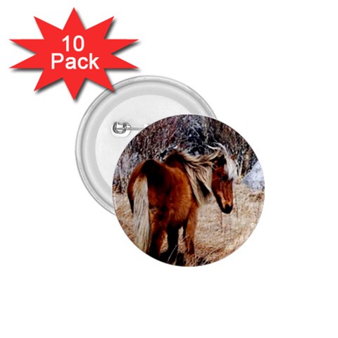 Pretty Pony 1.75  Button (10 pack) from ArtsNow.com Front