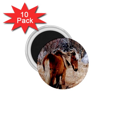 Pretty Pony 1.75  Button Magnet (10 pack) from ArtsNow.com Front