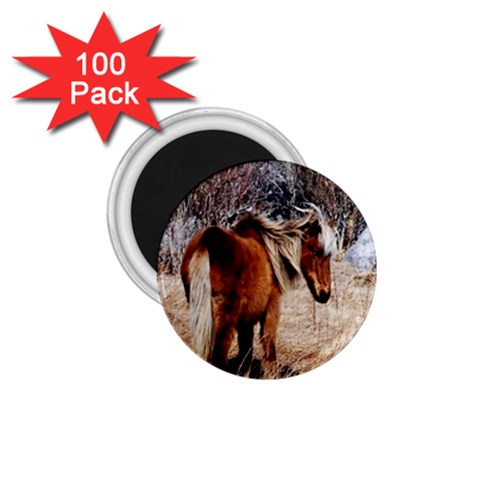 Pretty Pony 1.75  Button Magnet (100 pack) from ArtsNow.com Front