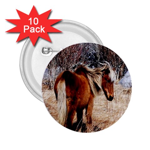 Pretty Pony 2.25  Button (10 pack) from ArtsNow.com Front