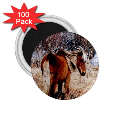 Pretty Pony 2.25  Button Magnet (100 pack) from ArtsNow.com Front