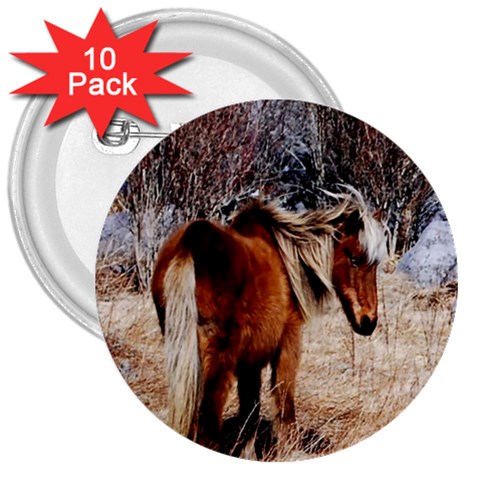 Pretty Pony 3  Button (10 pack) from ArtsNow.com Front