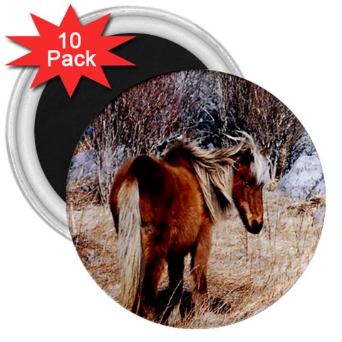 Pretty Pony 3  Button Magnet (10 pack) from ArtsNow.com Front