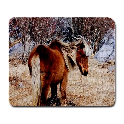 Pretty Pony Large Mouse Pad (Rectangle) from ArtsNow.com Front