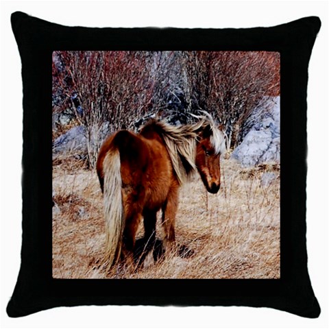 Pretty Pony Black Throw Pillow Case from ArtsNow.com Front