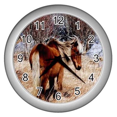 Pretty Pony Wall Clock (Silver) from ArtsNow.com Front