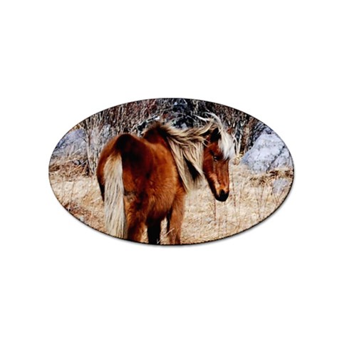 Pretty Pony Sticker (Oval) from ArtsNow.com Front