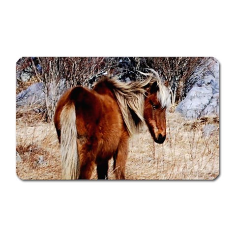 Pretty Pony Magnet (Rectangular) from ArtsNow.com Front