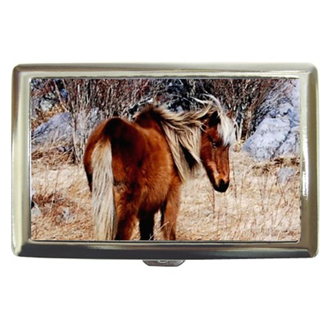 Pretty Pony Cigarette Money Case from ArtsNow.com Front