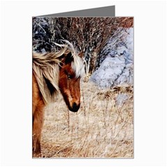 Pretty Pony Greeting Card from ArtsNow.com Left