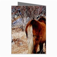 Pretty Pony Greeting Card from ArtsNow.com Right