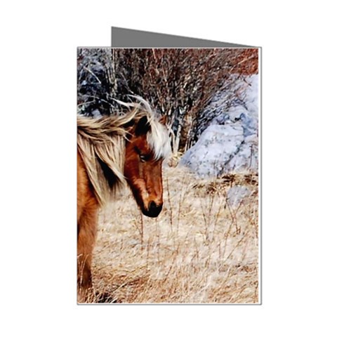 Pretty Pony Mini Greeting Card (8 Pack) from ArtsNow.com Left